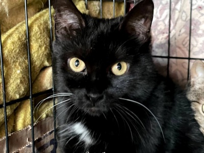 Ненсі заслуговує на любов