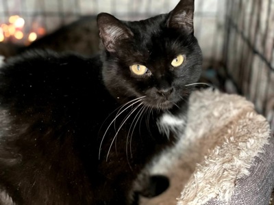 Ненсі заслуговує на любов