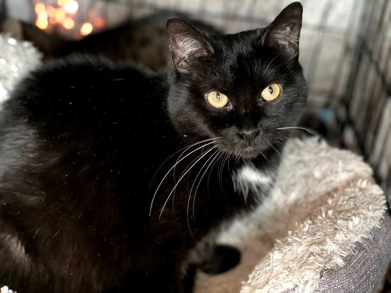 Ненсі заслуговує на любов