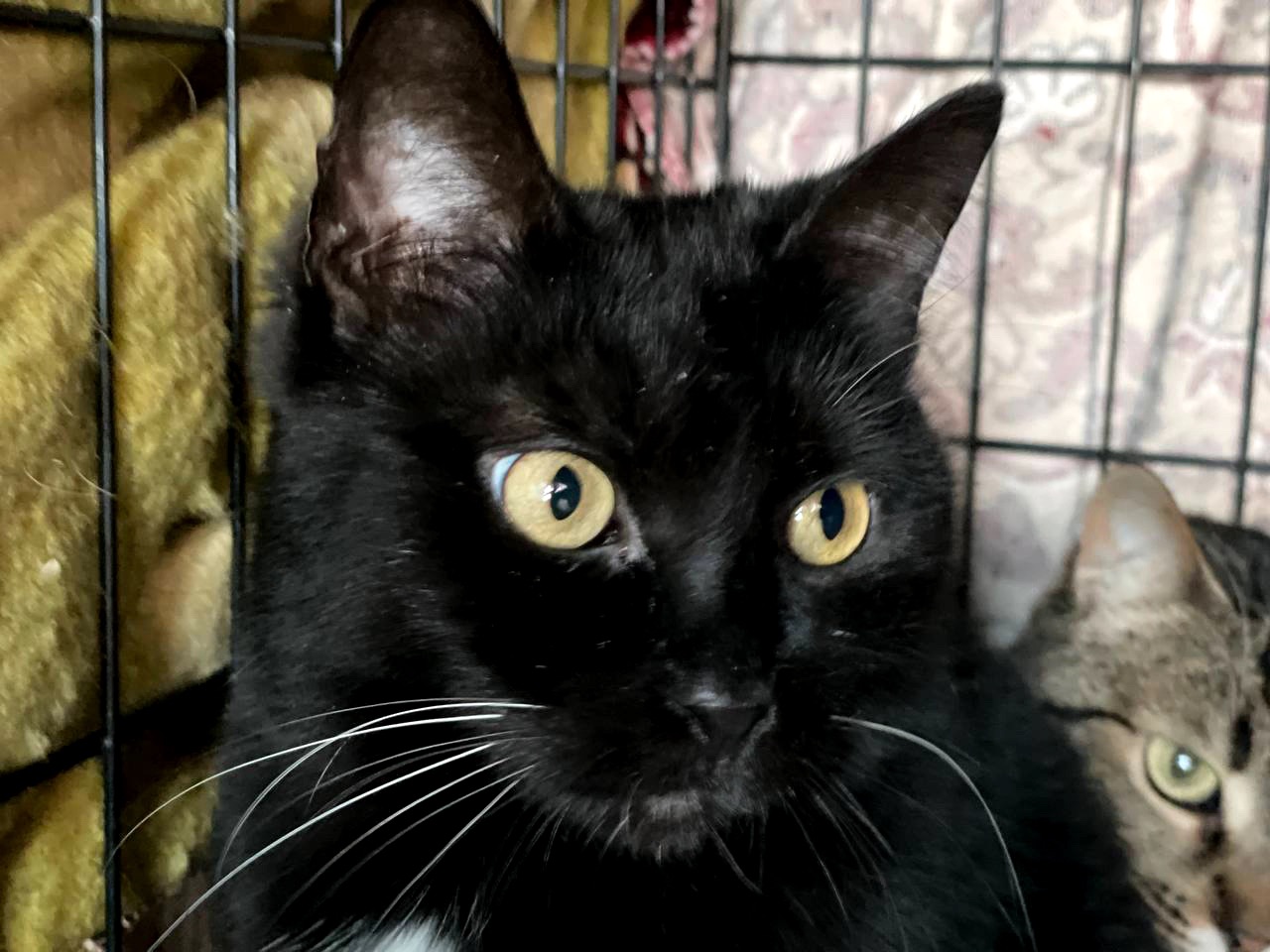 Ненсі заслуговує на любов