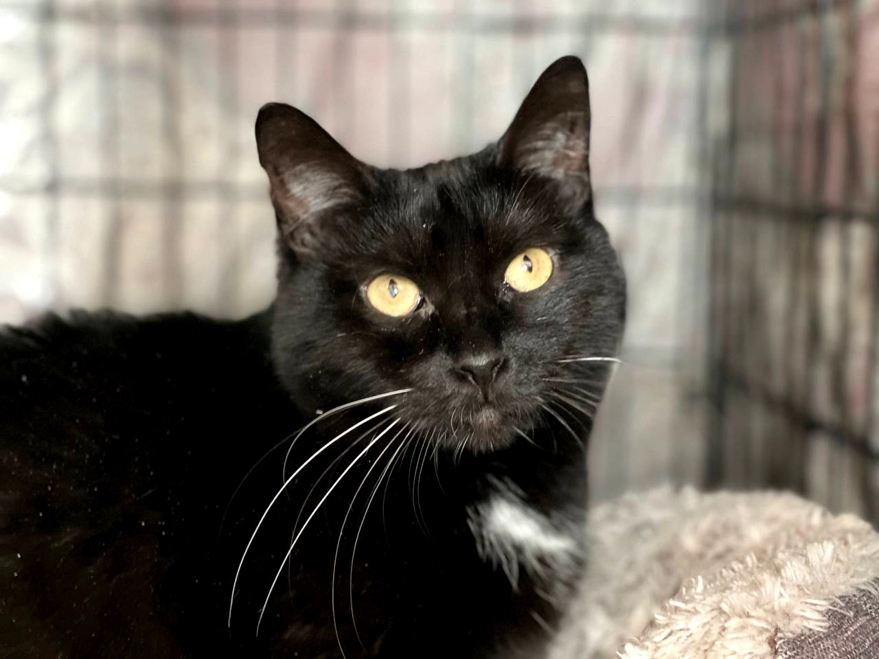 Ненсі заслуговує на любов