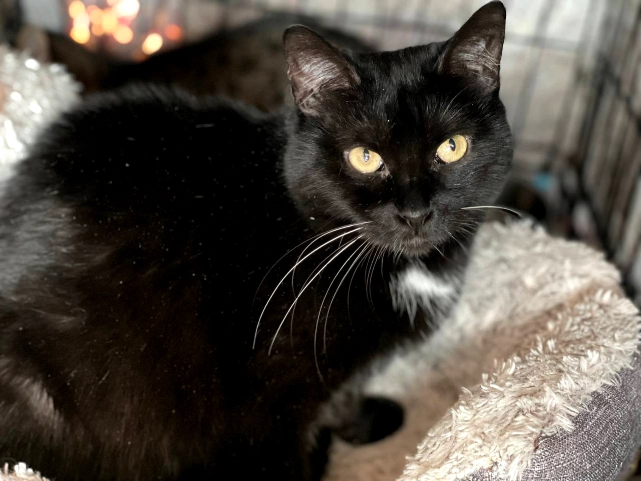 Ненсі заслуговує на любов