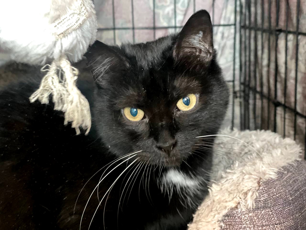 Ненсі заслуговує на любов