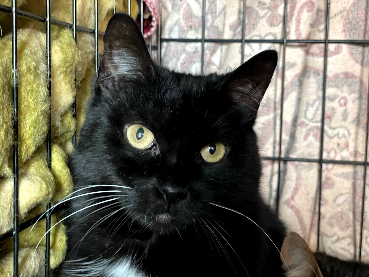 Ненсі заслуговує на любов