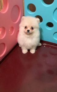 Чудовий хлопчик