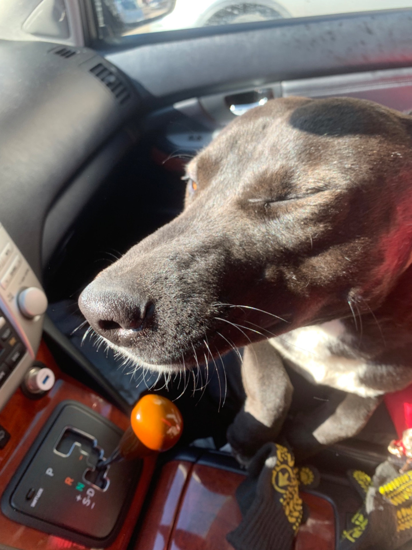 Шанс на життя