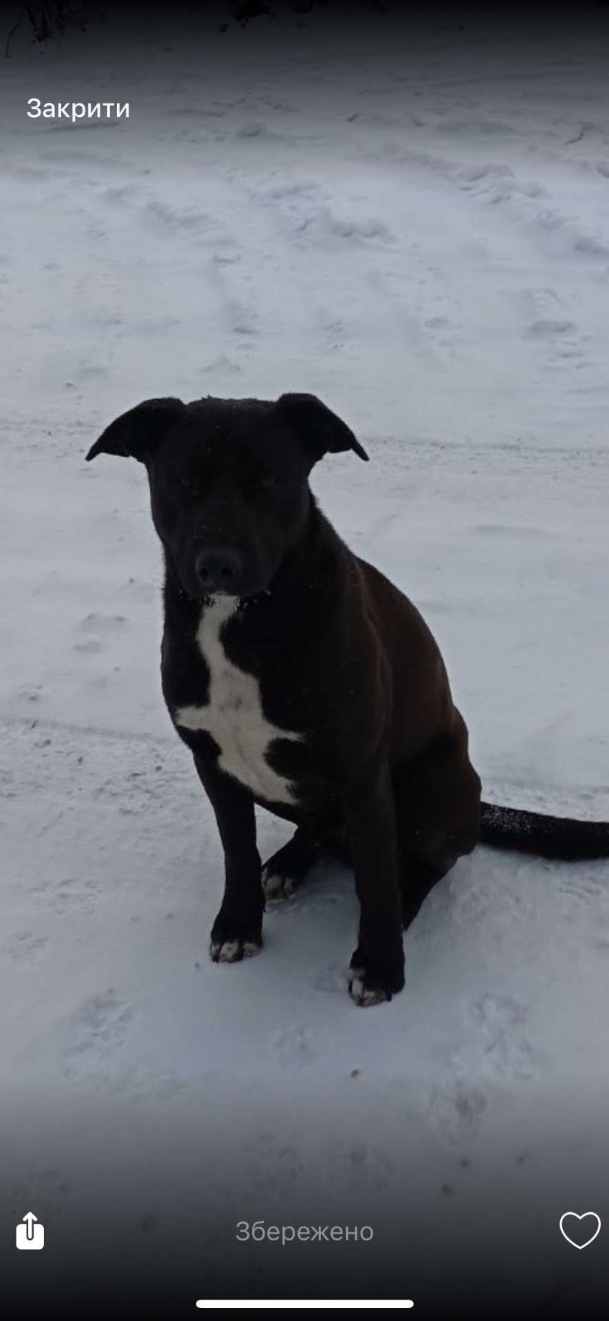 Шанс на життя