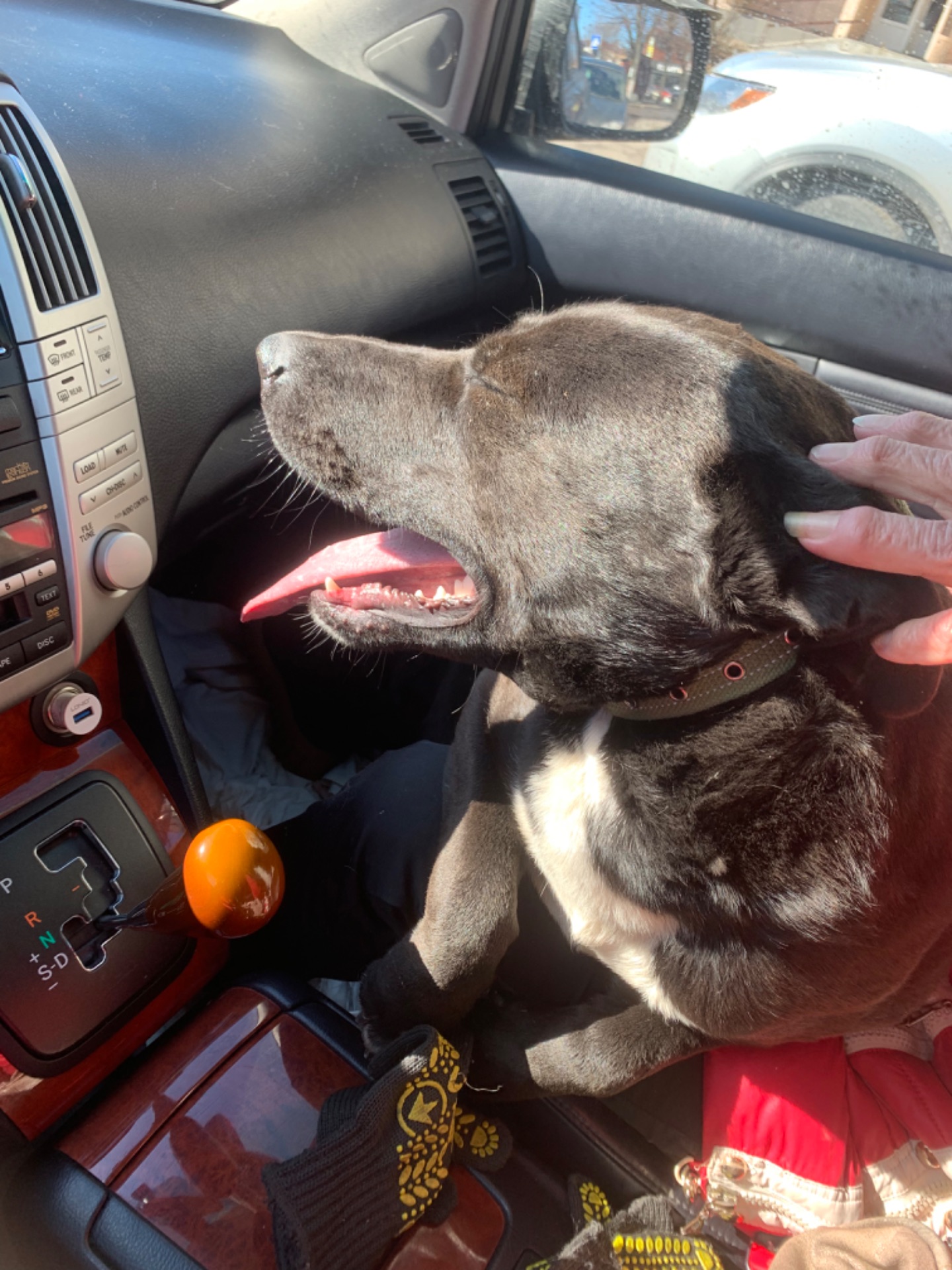 Шанс на життя