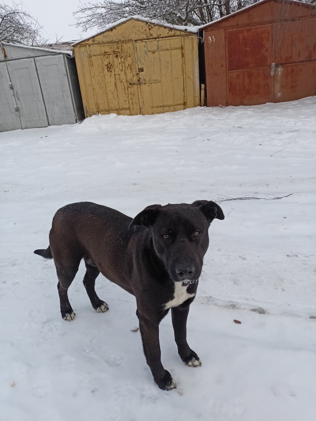 Шанс на життя