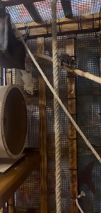 Цукровий посум- Білочка летяга