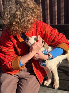 цуценя Брендон, виросте великим