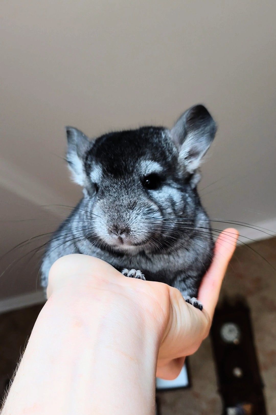 Лагідний хлопчик 🩵