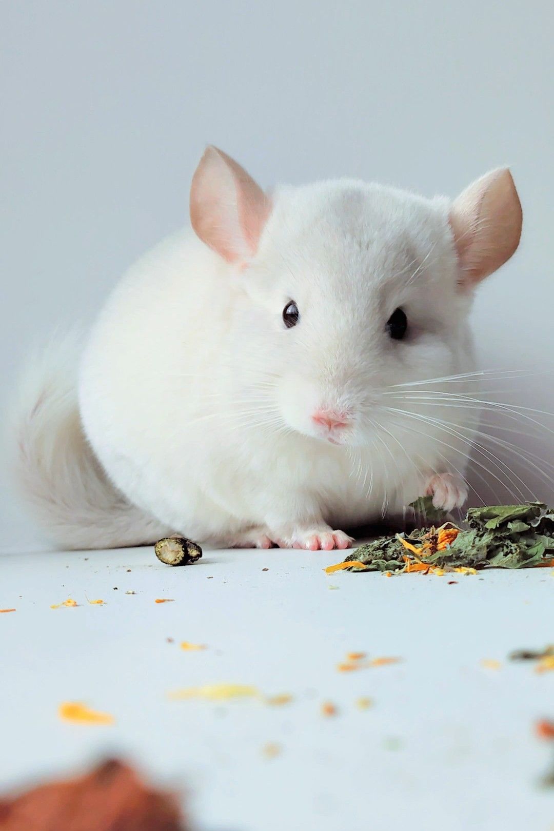 Білосніжний хлопчик 🩵