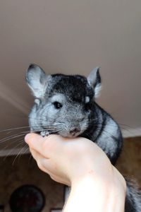 Лагідний хлопчик 🩵