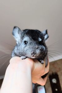 Лагідний хлопчик 🩵