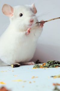 Білосніжний хлопчик 🩵