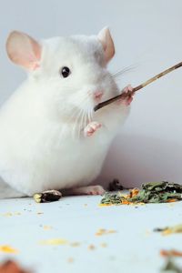 Білосніжний хлопчик 🩵