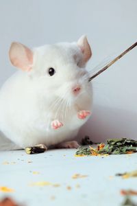 Білосніжний хлопчик 🩵