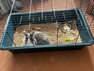 Відам в добрі руки