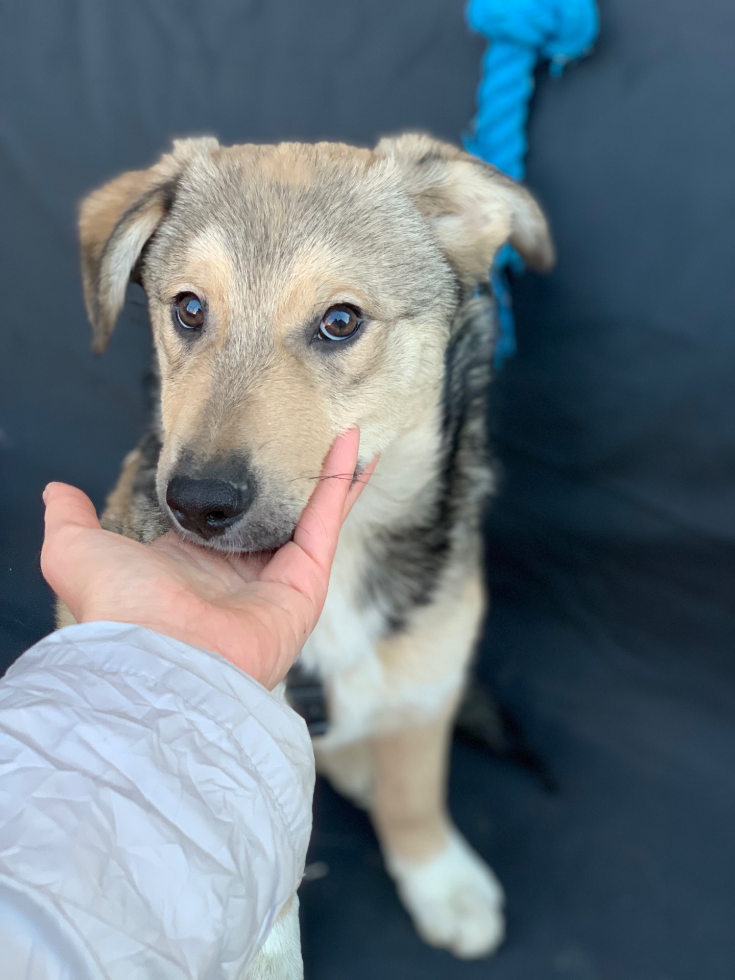 Хлопчик Джеймс шукає свою сімʼю