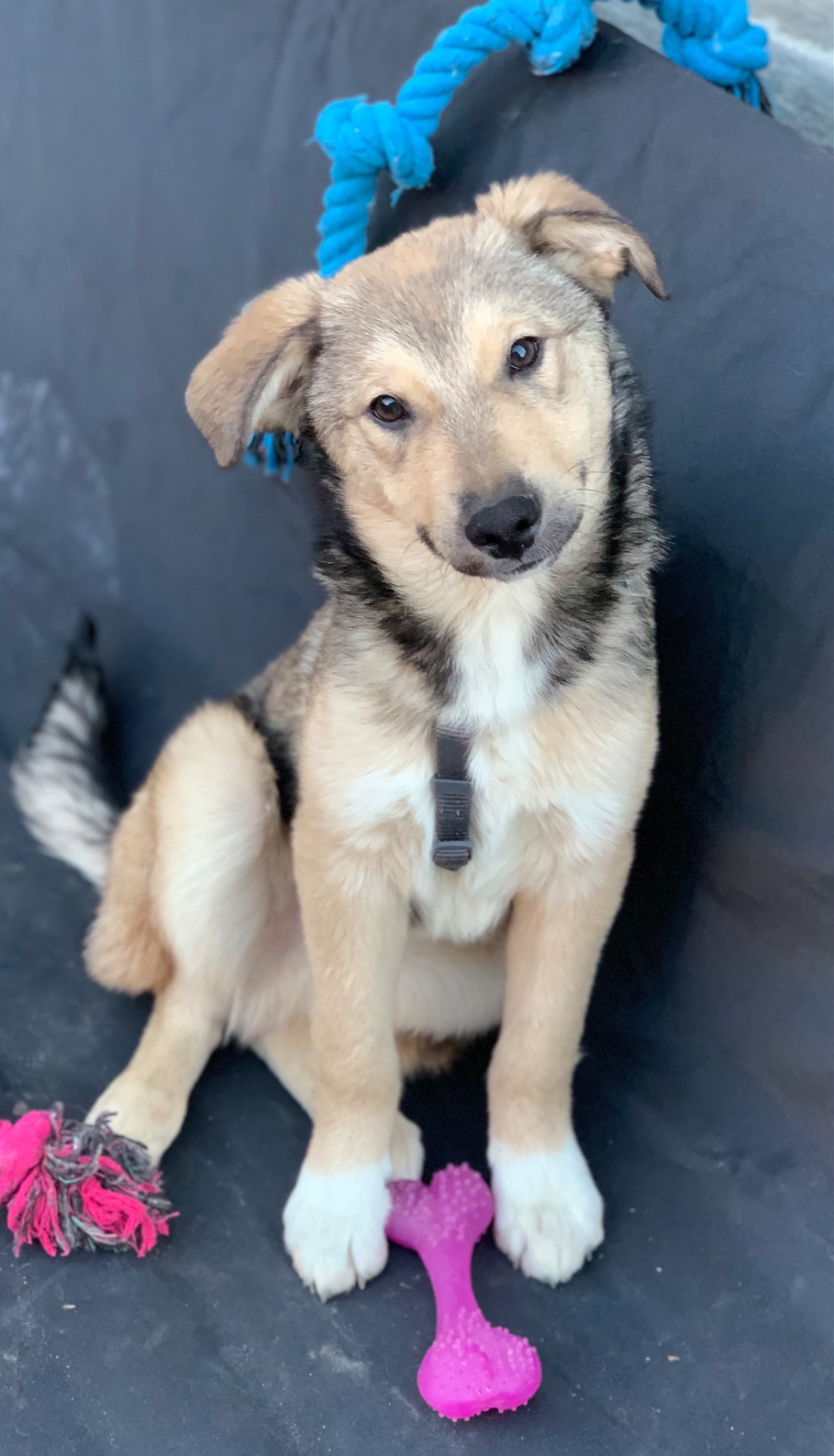 Хлопчик Джеймс шукає свою сімʼю