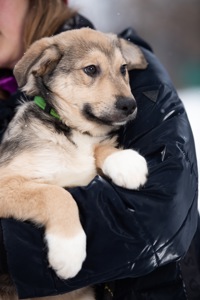 Хлопчик Джеймс шукає свою сімʼю