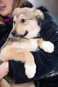 Хлопчик Джеймс шукає свою сімʼю