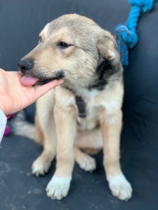 Хлопчик Джеймс шукає свою сімʼю