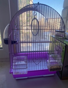 Папуга Сашка