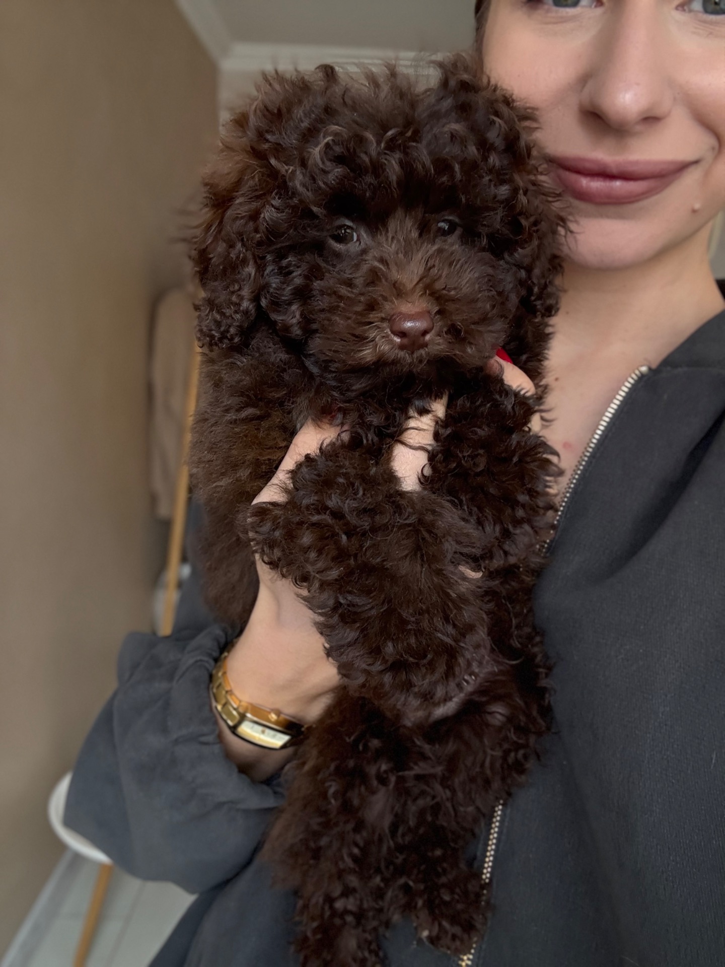 Мальтипу неймовірний хлопчик