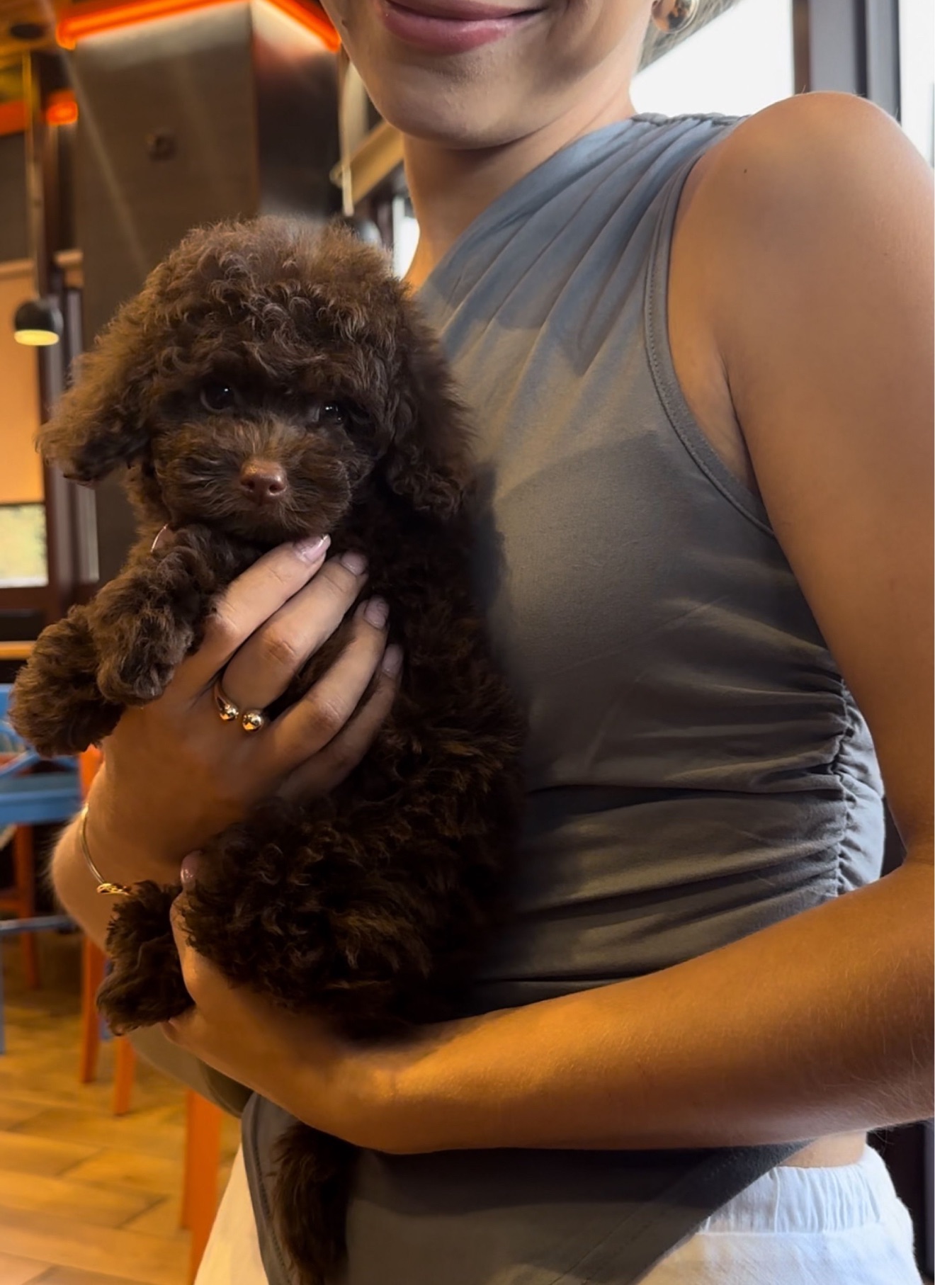 Мальтипу неймовірний хлопчик