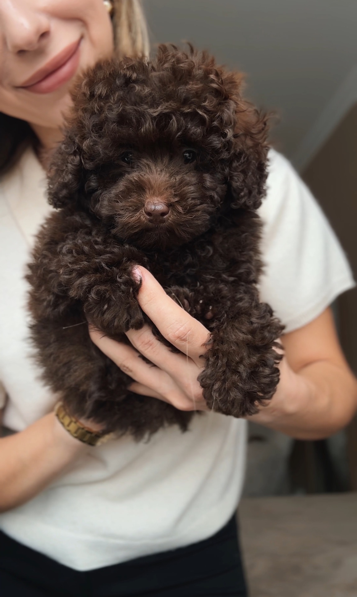 Мальтипу неймовірний хлопчик