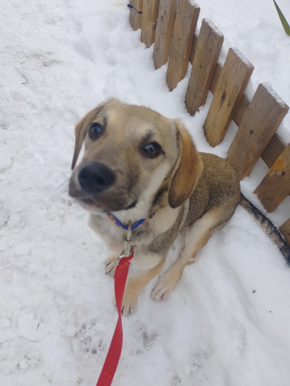 Боня шукає родину