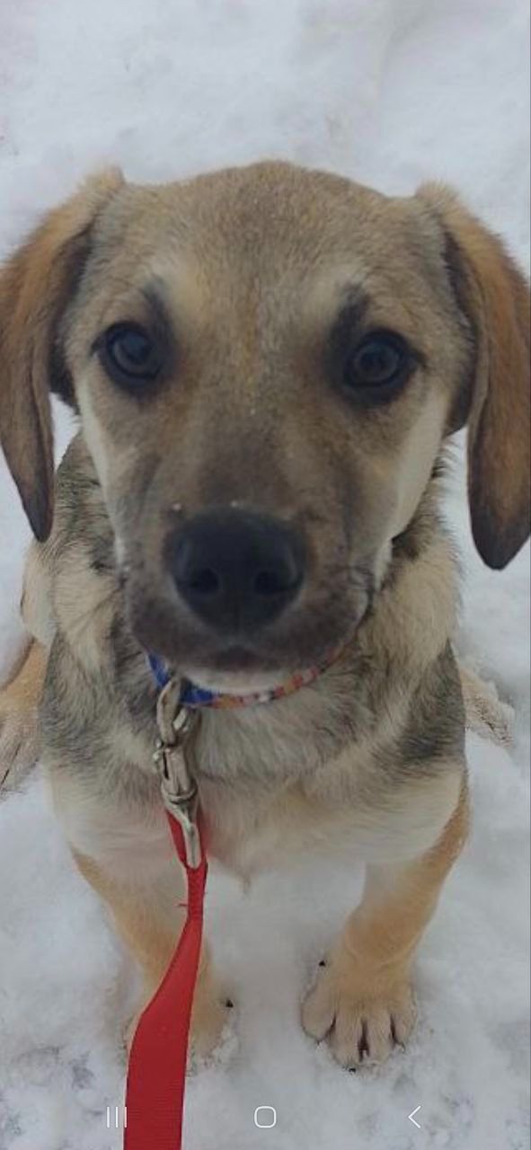 Боня шукає родину