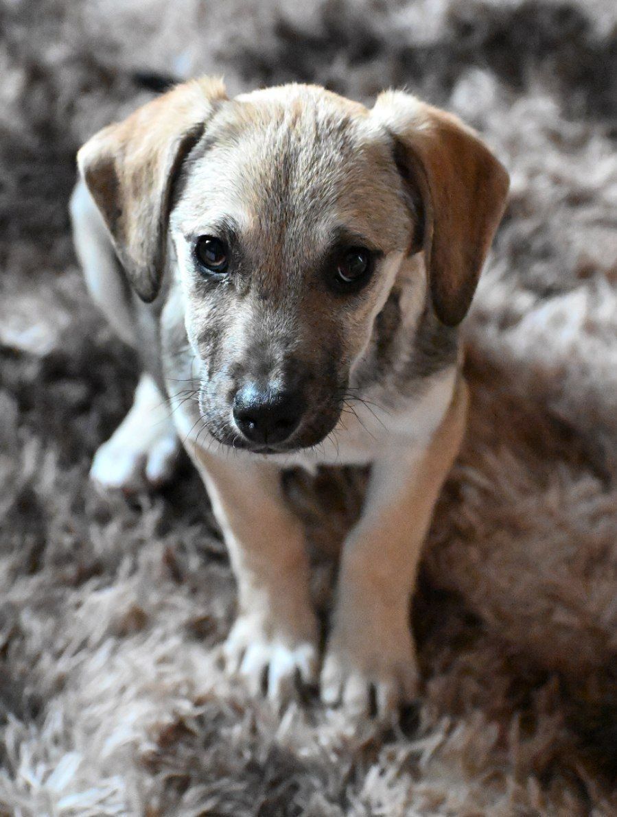 Боня шукає родину