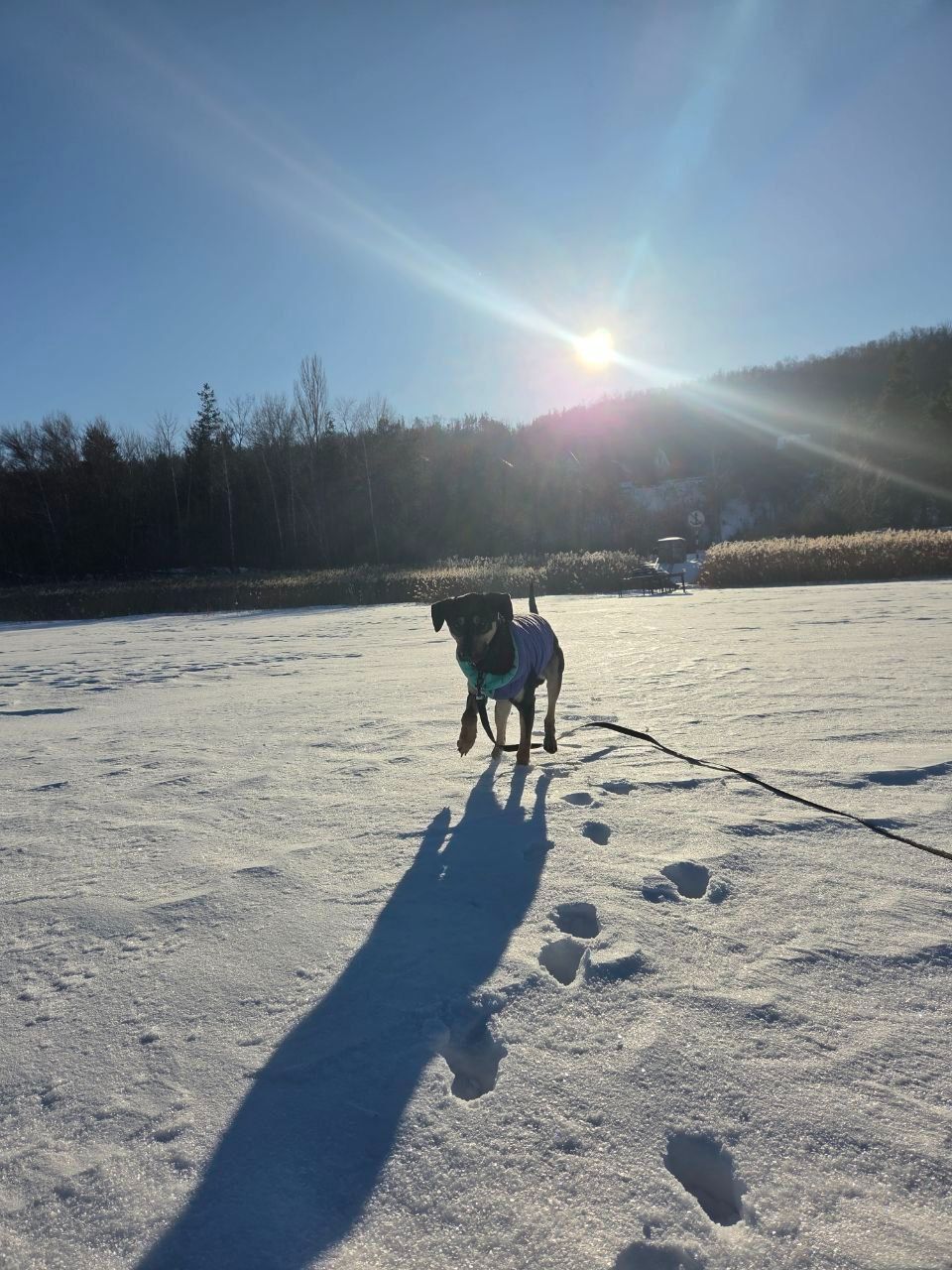 Джек шукає друга