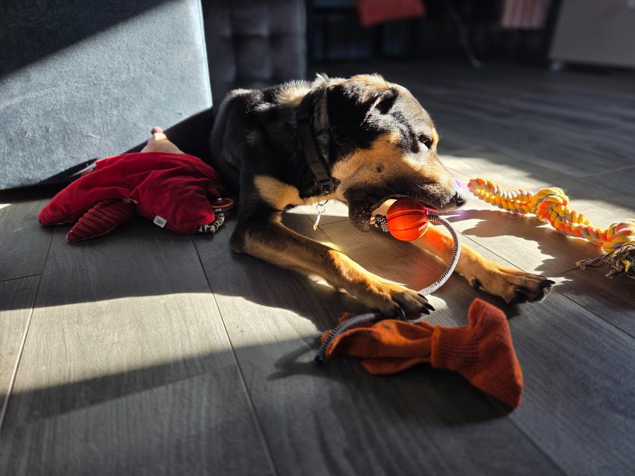 Джек шукає друга