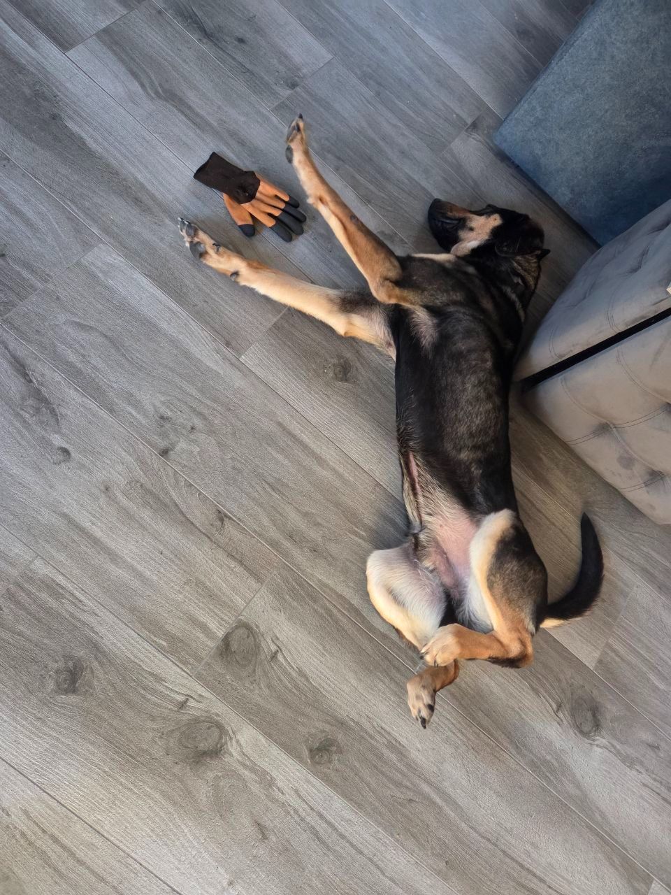 Джек шукає друга