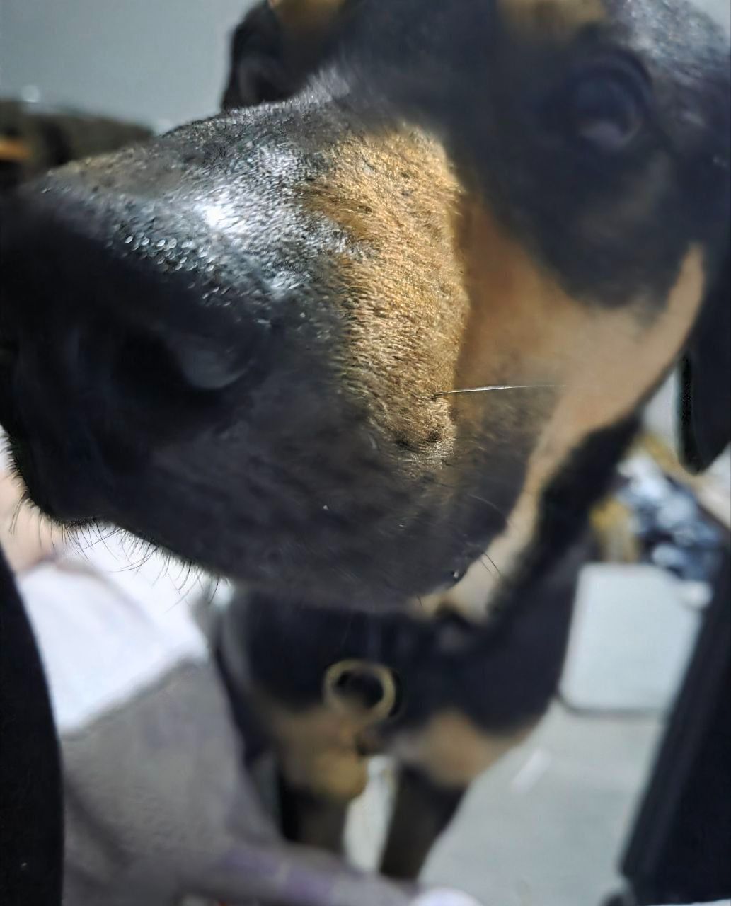 Джек шукає друга