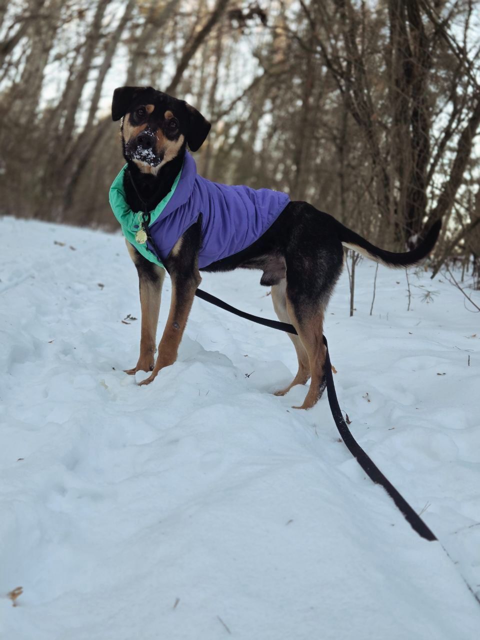 Джек шукає друга