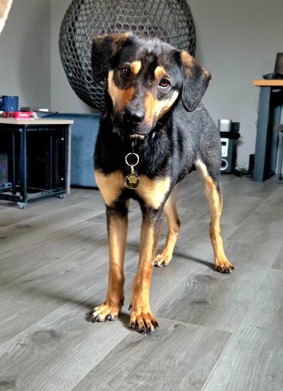 Джек шукає друга