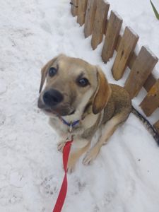 Боня шукає родину