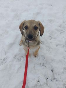 Боня шукає родину