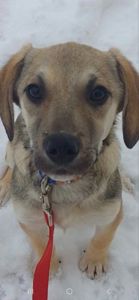 Боня шукає родину