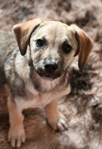 Боня шукає родину