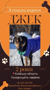 Джек шукає друга