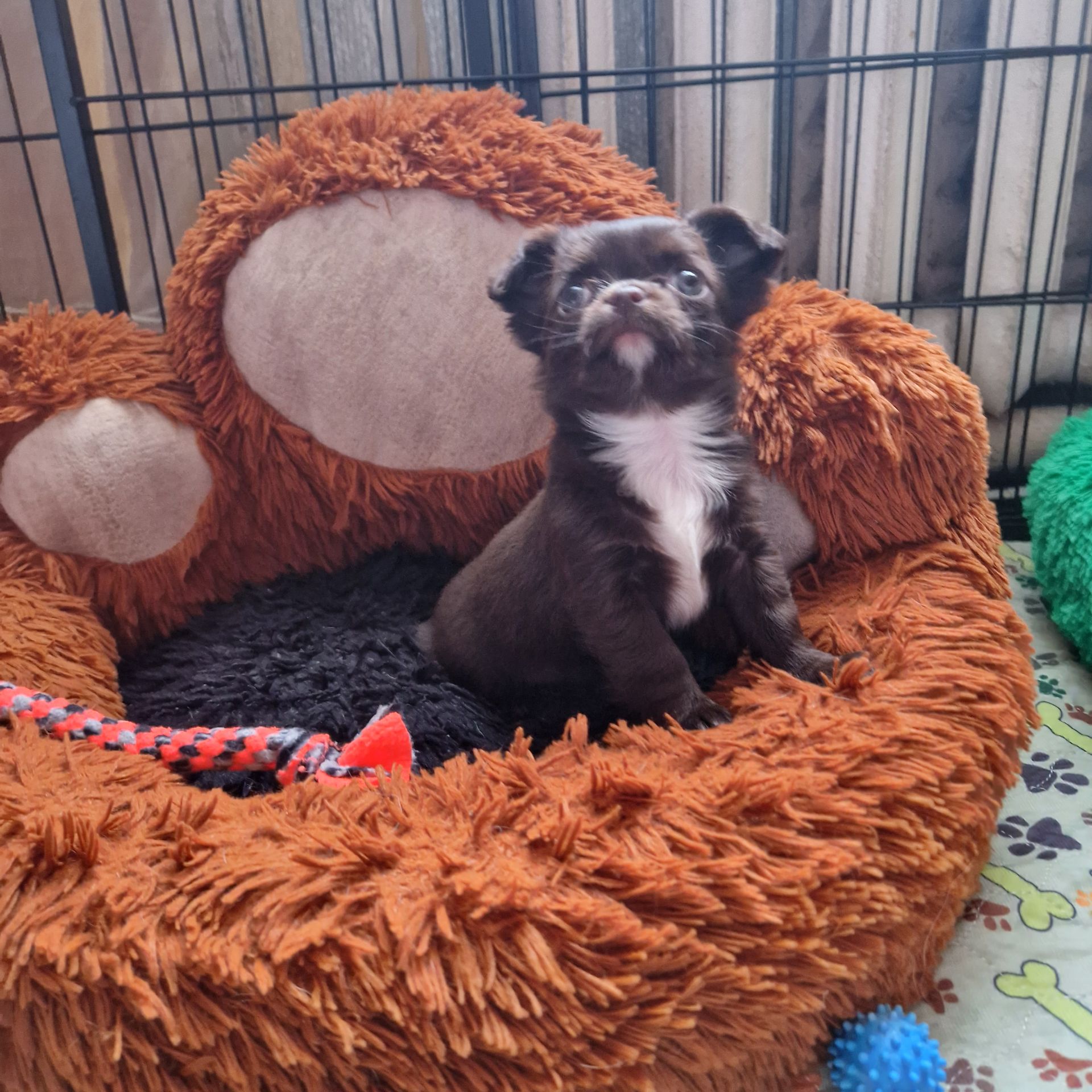 Шоколадное чудо!!!