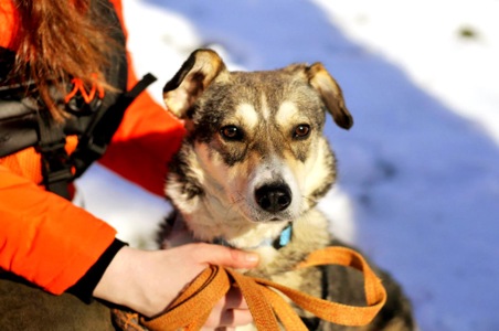 Чудова Мія, Мієчка