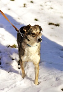 Чудова Мія, Мієчка