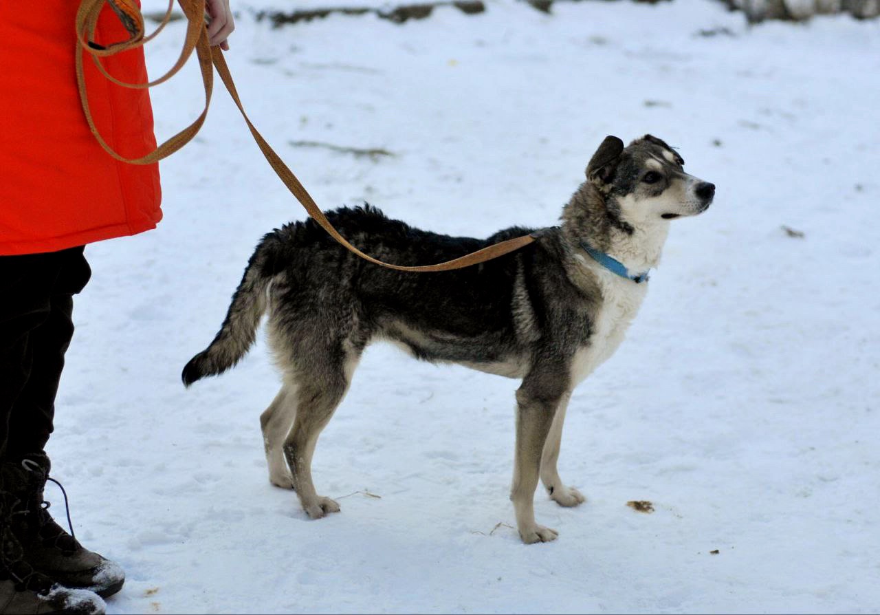 Чудова Мія, Мієчка